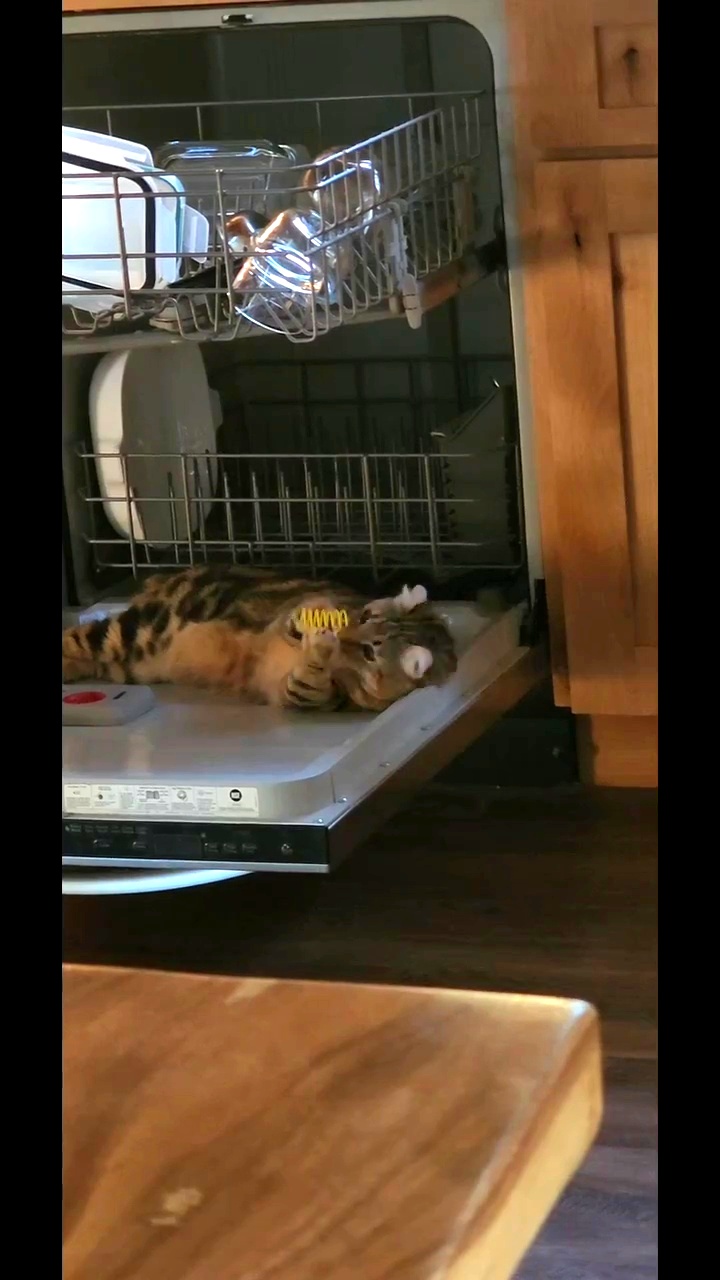 ISMARTEN Colorful Spring Toys (120 Pack)