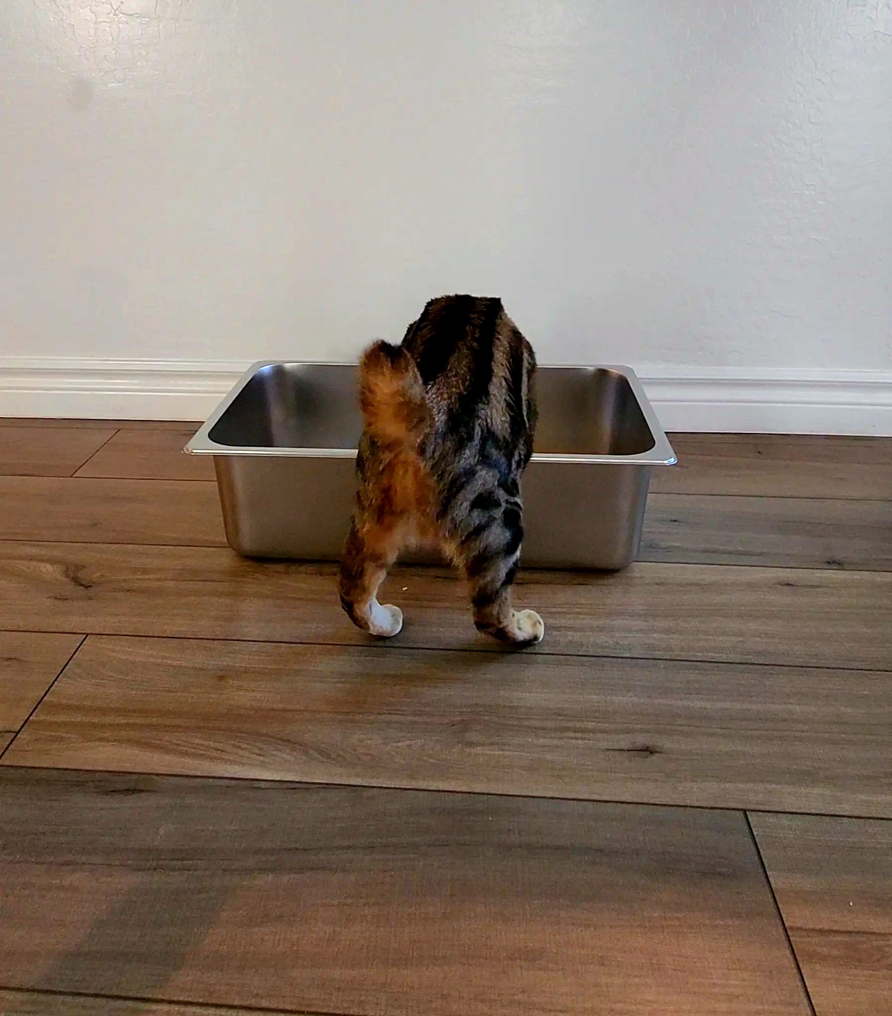 Kirecoo Stainless Steel Litter Box XL